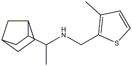 (1-{bicyclo[2.2.1]heptan-2-yl}ethyl)[(3-methylthiophen-2-yl)methyl]amine Struktur