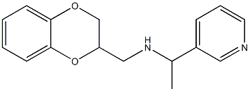 (2,3-dihydro-1,4-benzodioxin-2-ylmethyl)[1-(pyridin-3-yl)ethyl]amine Struktur