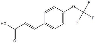 (2E)-3-[4-(trifluoromethoxy)phenyl]prop-2-enoic acid Struktur