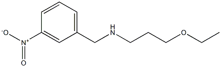 (3-ethoxypropyl)[(3-nitrophenyl)methyl]amine Struktur