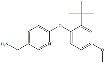 [6-(2-tert-butyl-4-methoxyphenoxy)pyridin-3-yl]methylamine Struktur