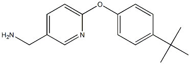 [6-(4-tert-butylphenoxy)pyridin-3-yl]methylamine Struktur