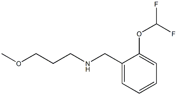 {[2-(difluoromethoxy)phenyl]methyl}(3-methoxypropyl)amine Struktur