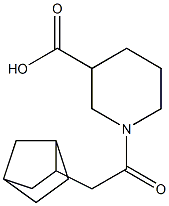 1-(2-{bicyclo[2.2.1]heptan-2-yl}acetyl)piperidine-3-carboxylic acid Struktur