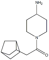 1-(4-aminopiperidin-1-yl)-2-{bicyclo[2.2.1]heptan-2-yl}ethan-1-one Struktur