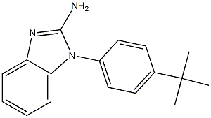 1-(4-tert-butylphenyl)-1H-1,3-benzodiazol-2-amine Struktur