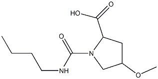 1-(butylcarbamoyl)-4-methoxypyrrolidine-2-carboxylic acid Struktur