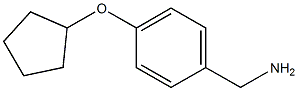 1-[4-(cyclopentyloxy)phenyl]methanamine Struktur