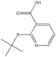 2-(tert-butylsulfanyl)pyridine-3-carboxylic acid Struktur