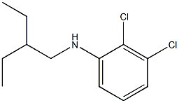 2,3-dichloro-N-(2-ethylbutyl)aniline Struktur