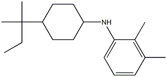 2,3-dimethyl-N-[4-(2-methylbutan-2-yl)cyclohexyl]aniline Struktur