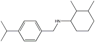 2,3-dimethyl-N-{[4-(propan-2-yl)phenyl]methyl}cyclohexan-1-amine Struktur