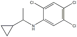 2,4,5-trichloro-N-(1-cyclopropylethyl)aniline Struktur