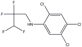 2,4,5-trichloro-N-(2,2,3,3-tetrafluoropropyl)aniline Struktur