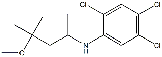 2,4,5-trichloro-N-(4-methoxy-4-methylpentan-2-yl)aniline Struktur