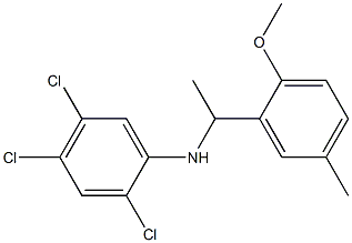 2,4,5-trichloro-N-[1-(2-methoxy-5-methylphenyl)ethyl]aniline Struktur