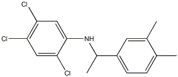 2,4,5-trichloro-N-[1-(3,4-dimethylphenyl)ethyl]aniline Struktur