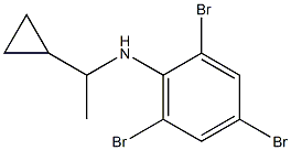 2,4,6-tribromo-N-(1-cyclopropylethyl)aniline Struktur