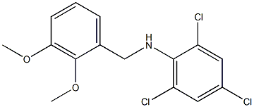 2,4,6-trichloro-N-[(2,3-dimethoxyphenyl)methyl]aniline Struktur