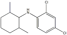 2,4-dichloro-N-(2,6-dimethylcyclohexyl)aniline Struktur