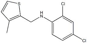 2,4-dichloro-N-[(3-methylthiophen-2-yl)methyl]aniline Struktur