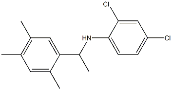 2,4-dichloro-N-[1-(2,4,5-trimethylphenyl)ethyl]aniline Struktur