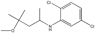 2,5-dichloro-N-(4-methoxy-4-methylpentan-2-yl)aniline Struktur