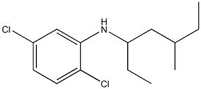 2,5-dichloro-N-(5-methylheptan-3-yl)aniline Struktur