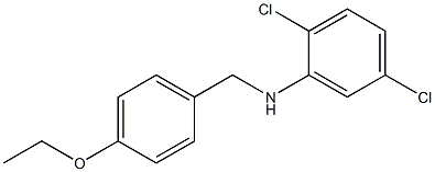 2,5-dichloro-N-[(4-ethoxyphenyl)methyl]aniline Struktur