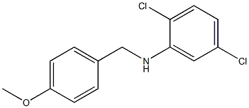 2,5-dichloro-N-[(4-methoxyphenyl)methyl]aniline Struktur