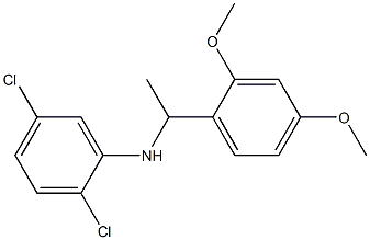 2,5-dichloro-N-[1-(2,4-dimethoxyphenyl)ethyl]aniline Struktur