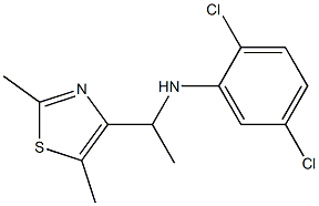 2,5-dichloro-N-[1-(2,5-dimethyl-1,3-thiazol-4-yl)ethyl]aniline Struktur