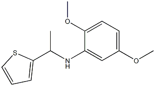 2,5-dimethoxy-N-[1-(thiophen-2-yl)ethyl]aniline Struktur