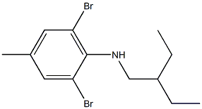 2,6-dibromo-N-(2-ethylbutyl)-4-methylaniline Struktur