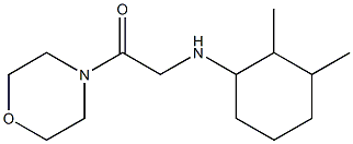 2-[(2,3-dimethylcyclohexyl)amino]-1-(morpholin-4-yl)ethan-1-one Struktur