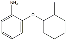 2-[(2-methylcyclohexyl)oxy]aniline Struktur