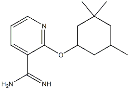 2-[(3,3,5-trimethylcyclohexyl)oxy]pyridine-3-carboximidamide Struktur