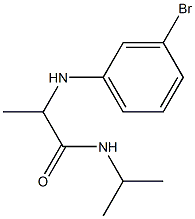 2-[(3-bromophenyl)amino]-N-(propan-2-yl)propanamide Struktur