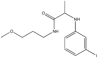 2-[(3-iodophenyl)amino]-N-(3-methoxypropyl)propanamide Struktur