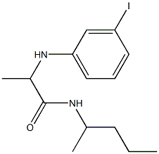 2-[(3-iodophenyl)amino]-N-(pentan-2-yl)propanamide Struktur