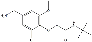 2-[4-(aminomethyl)-2-chloro-6-methoxyphenoxy]-N-tert-butylacetamide Struktur