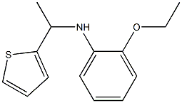 2-ethoxy-N-[1-(thiophen-2-yl)ethyl]aniline Struktur