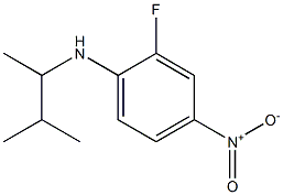 2-fluoro-N-(3-methylbutan-2-yl)-4-nitroaniline Struktur