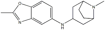 2-methyl-N-{8-methyl-8-azabicyclo[3.2.1]octan-3-yl}-1,3-benzoxazol-5-amine Struktur