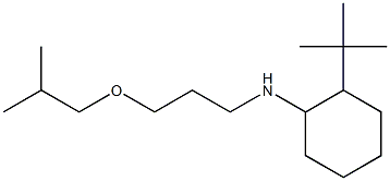 2-tert-butyl-N-[3-(2-methylpropoxy)propyl]cyclohexan-1-amine Struktur