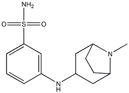 3-({8-methyl-8-azabicyclo[3.2.1]octan-3-yl}amino)benzene-1-sulfonamide Struktur