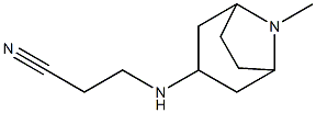 3-({8-methyl-8-azabicyclo[3.2.1]octan-3-yl}amino)propanenitrile Struktur