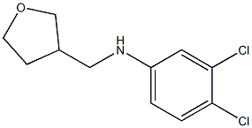 3,4-dichloro-N-(oxolan-3-ylmethyl)aniline Struktur