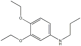 3,4-diethoxy-N-propylaniline Struktur