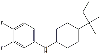 3,4-difluoro-N-[4-(2-methylbutan-2-yl)cyclohexyl]aniline Struktur